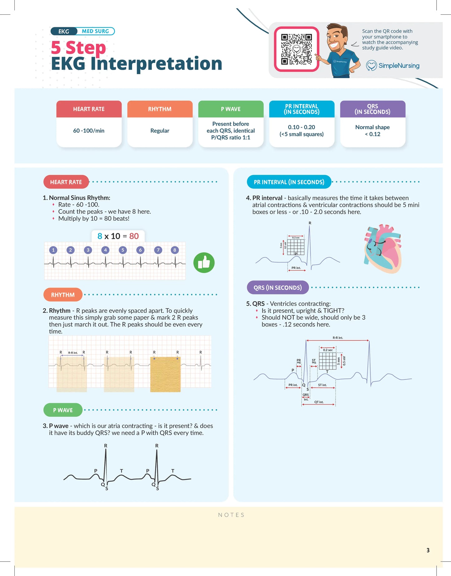 EKG Study Guide